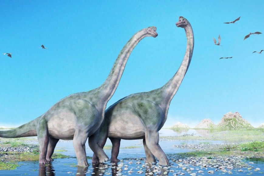 dinosaurs | Brick's Science